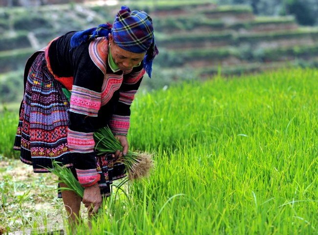 More crops per drop